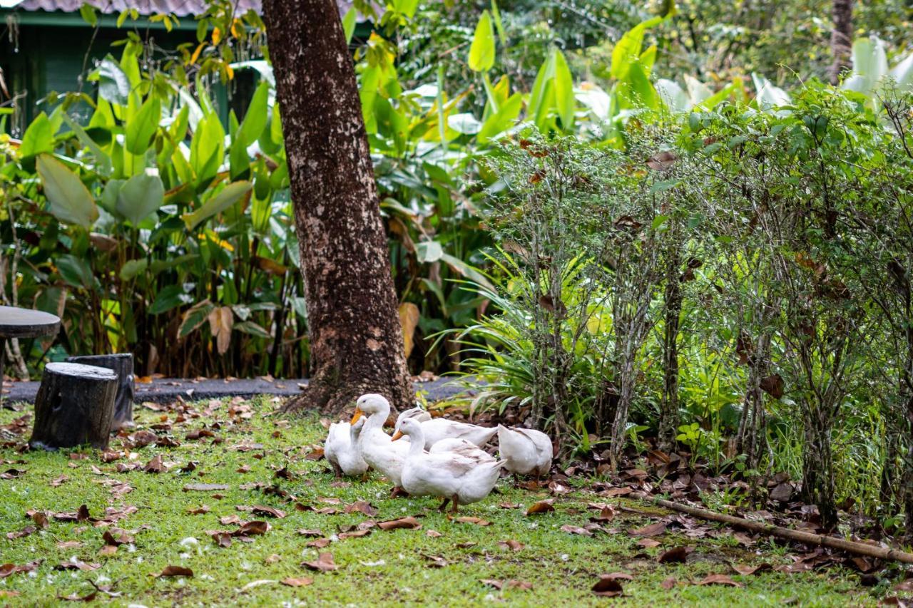 Blu Monkey Pooltara Krabi Hotel & Villas Pet Friendly Ngoại thất bức ảnh