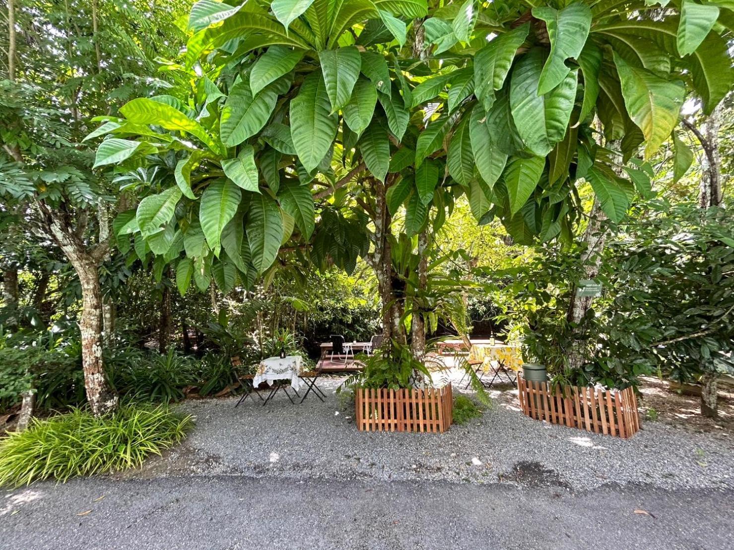 Blu Monkey Pooltara Krabi Hotel & Villas Pet Friendly Ngoại thất bức ảnh