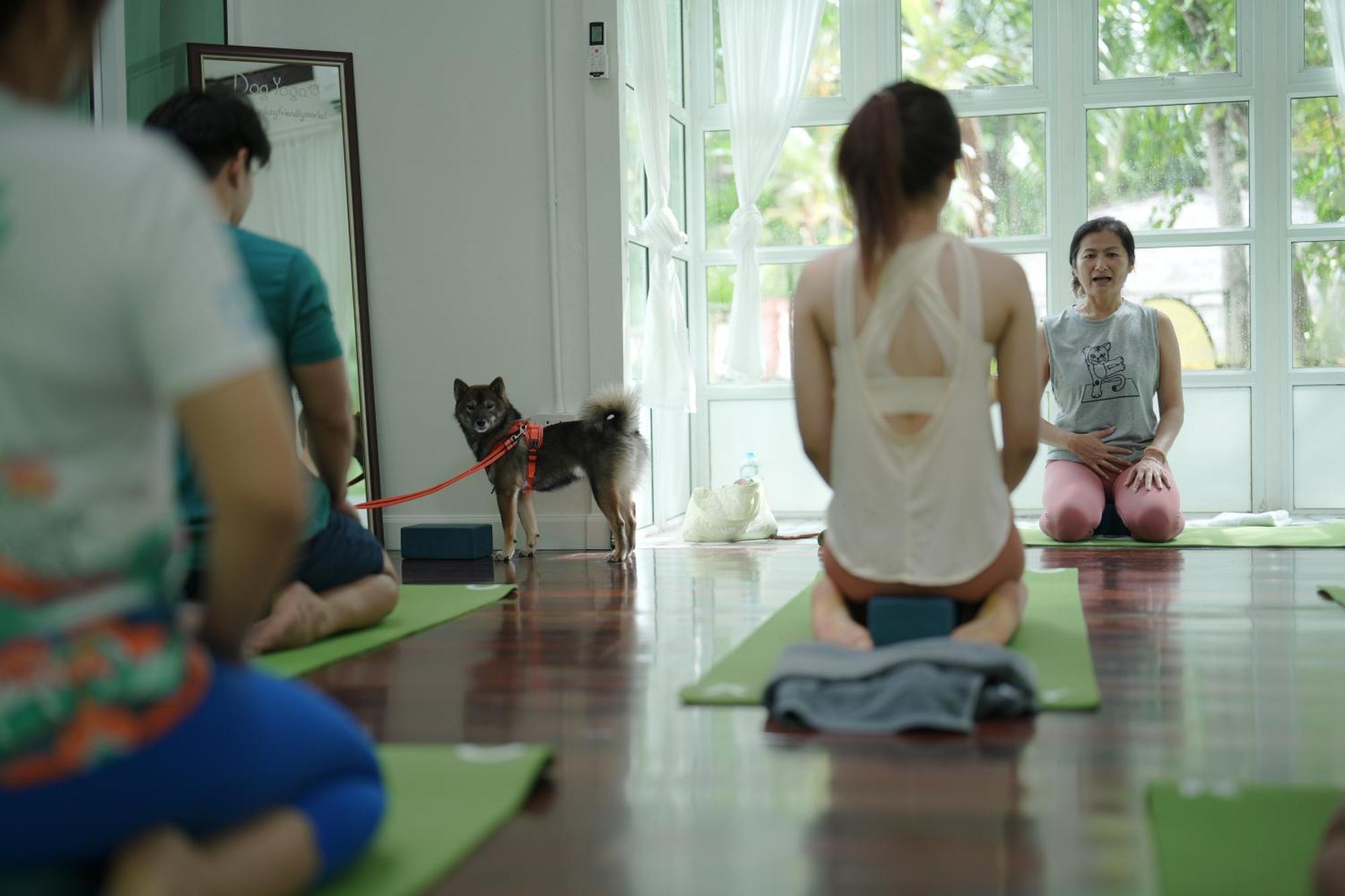 Blu Monkey Pooltara Krabi Hotel & Villas Pet Friendly Ngoại thất bức ảnh